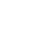 Guardianship Will