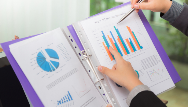 Project Reports & Feasibility Studies